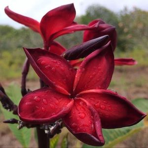 Meet your Posher, Joann